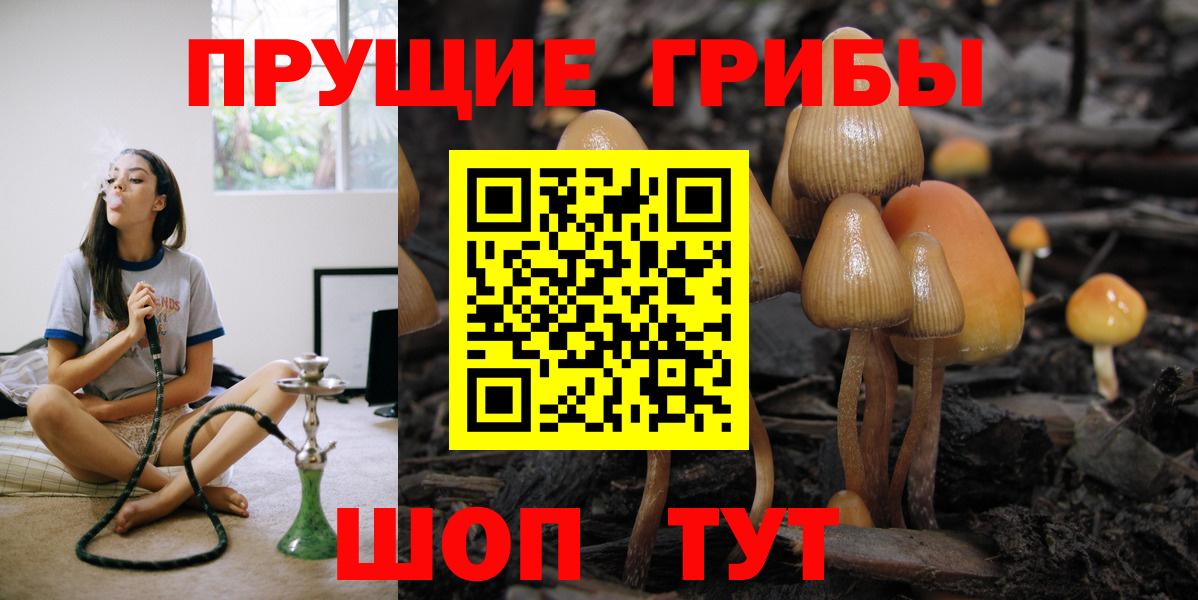 Галлюциногенные грибы Psilocybe  Вход с VPN  Топки 